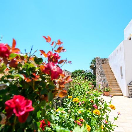 Villa Andromeda Amorgos Exterior foto